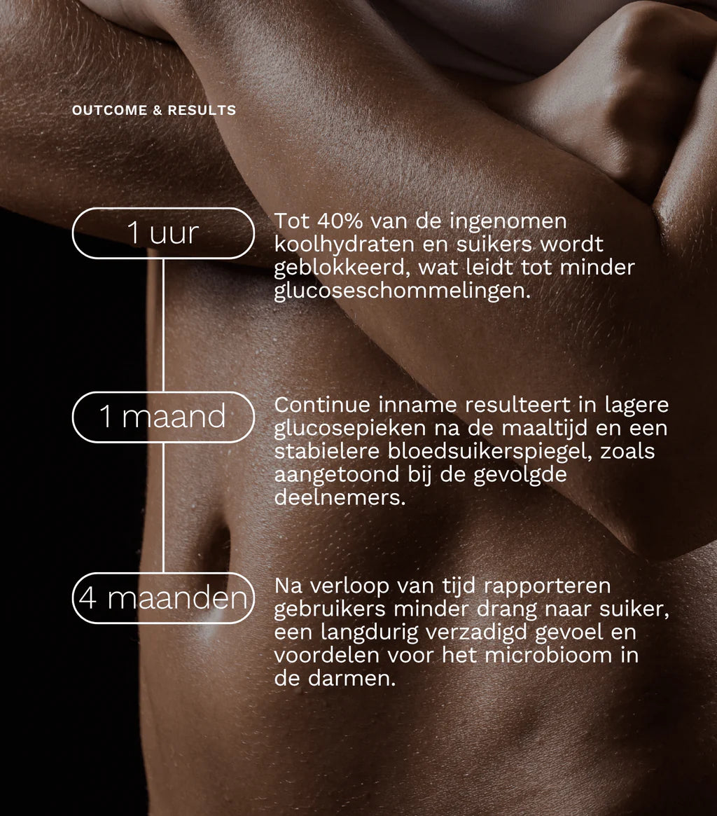 nl-timeline-effect-glh-2.webp